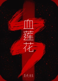 雪莲花的价格多少钱一斤